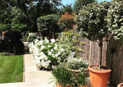 hard landscaping, outdoor seating, flowering plants, potted plants