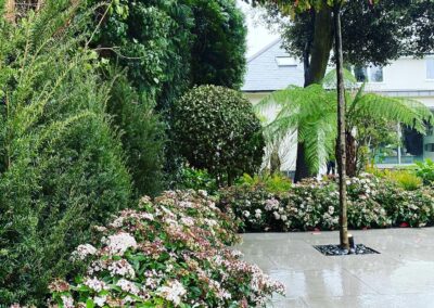 hard landscaping, paving, soft landscaping, flowering plants