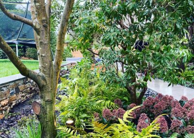 soft landscaping, ferns, flowering plants, trees