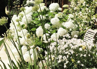 soft landscaping, white flowers