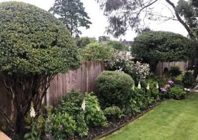 soft landscaping, bedding plants, trees, lawn