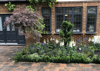 Paving, soft landscaping, creeper, bedded plants
